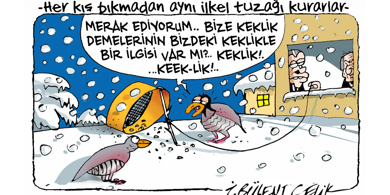 İ. Bülent Çelik'in 6 Kasım 2024 tarihli karikatürü