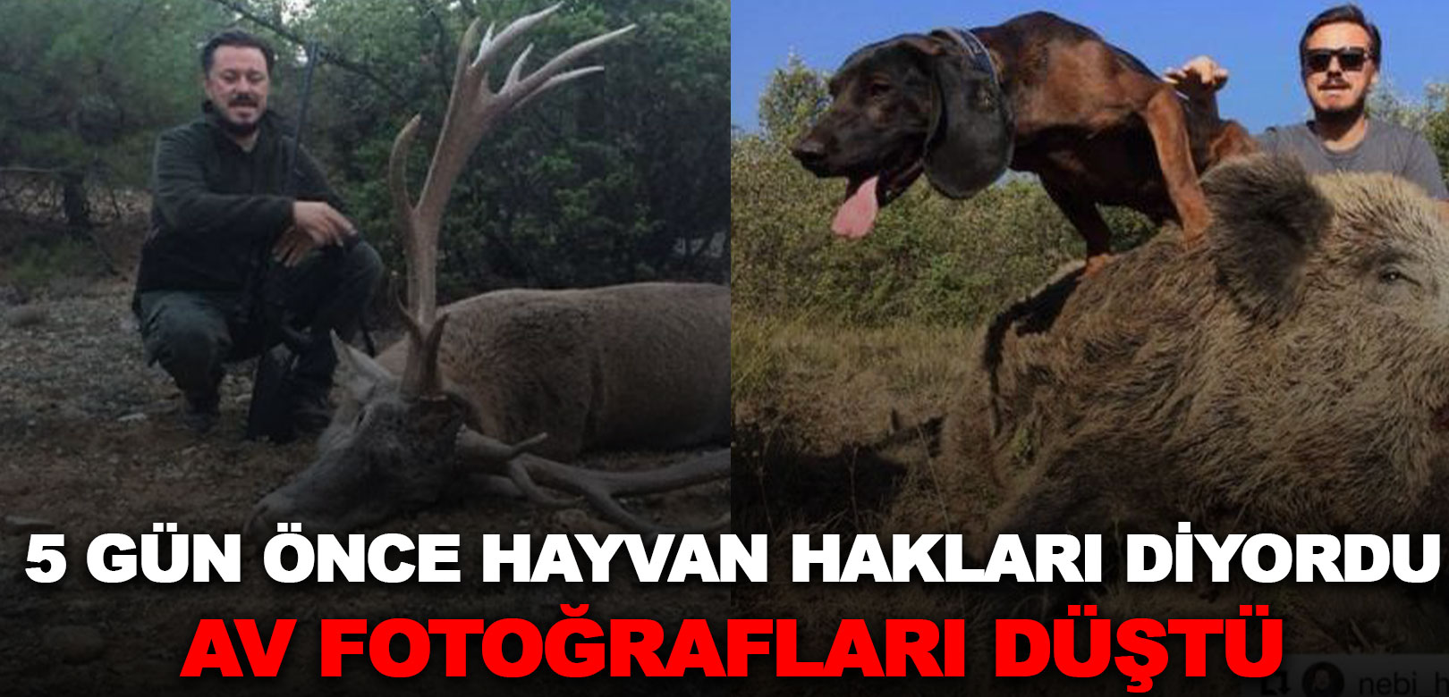 5 gün önce hayvan hakları için proje sunmuştu: Avlandığı fotoğraflar ortaya çıktı