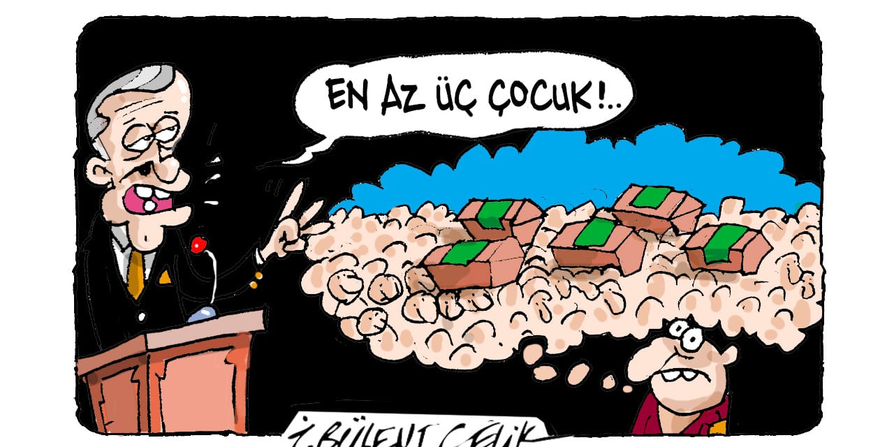 İ. Bülent Çelik'in 13 Kasım 2024 tarihli karikatürü