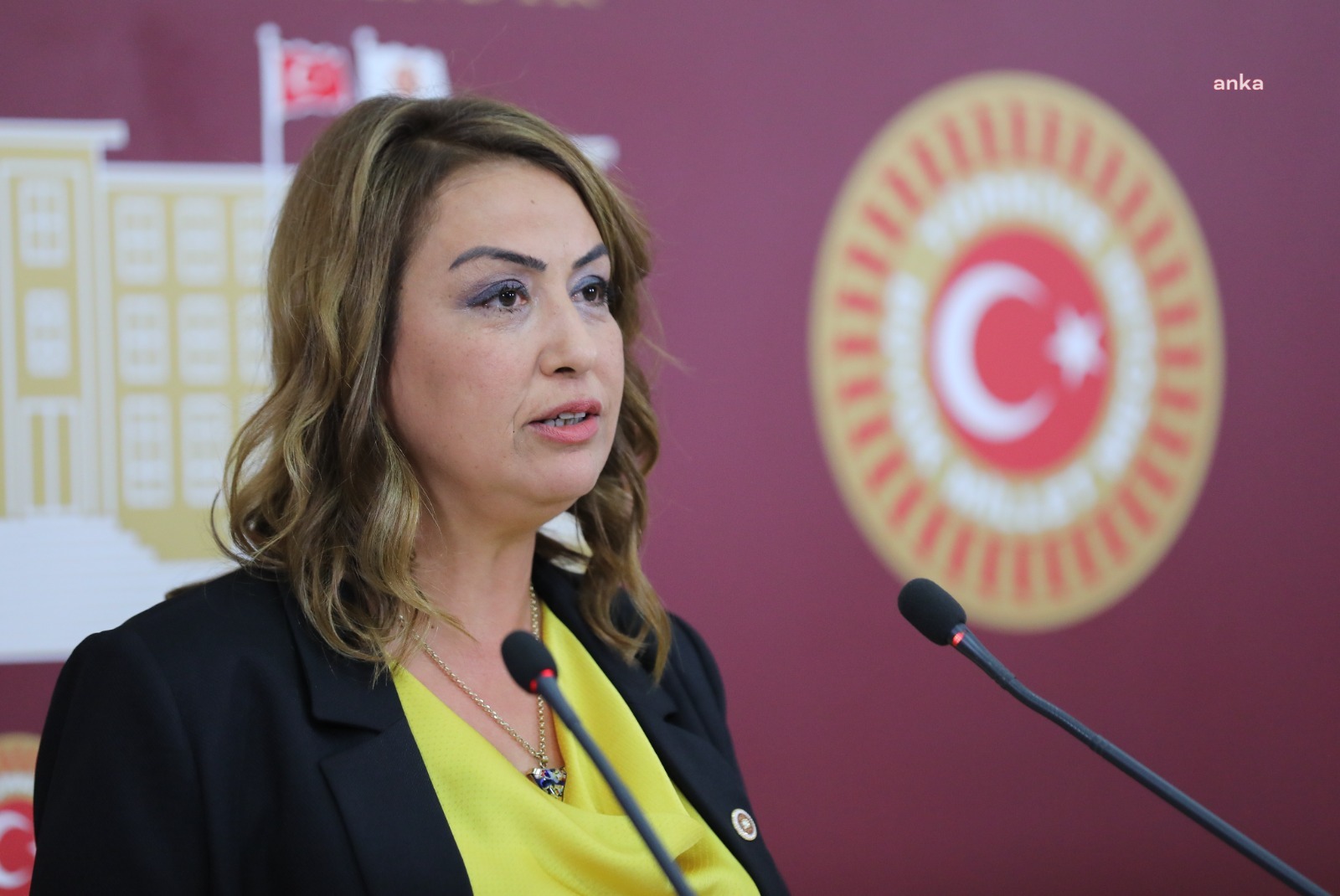 CHP'li Nermin Yıldırım Kara: Mülkiyet hakkının ihlal edildiğine dair kuşkularımız var'