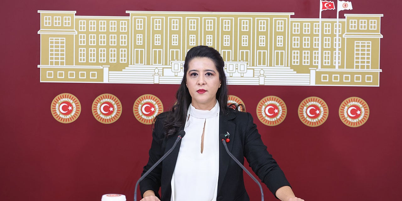 EMEP'li Sevda Karaca Kızılay’ın AKP gençlik kollarına yaptığı yardımı Meclis gündemine taşıdı