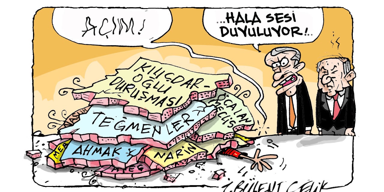 İ. Bülent Çelik'in 23 Kasım 2024 tarihli karikatürü