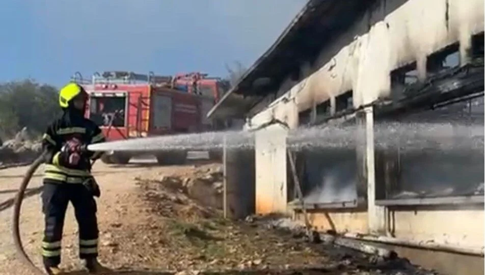Mersin'de tavuk çiftliğinde yangın: 33 bin civciv öldü