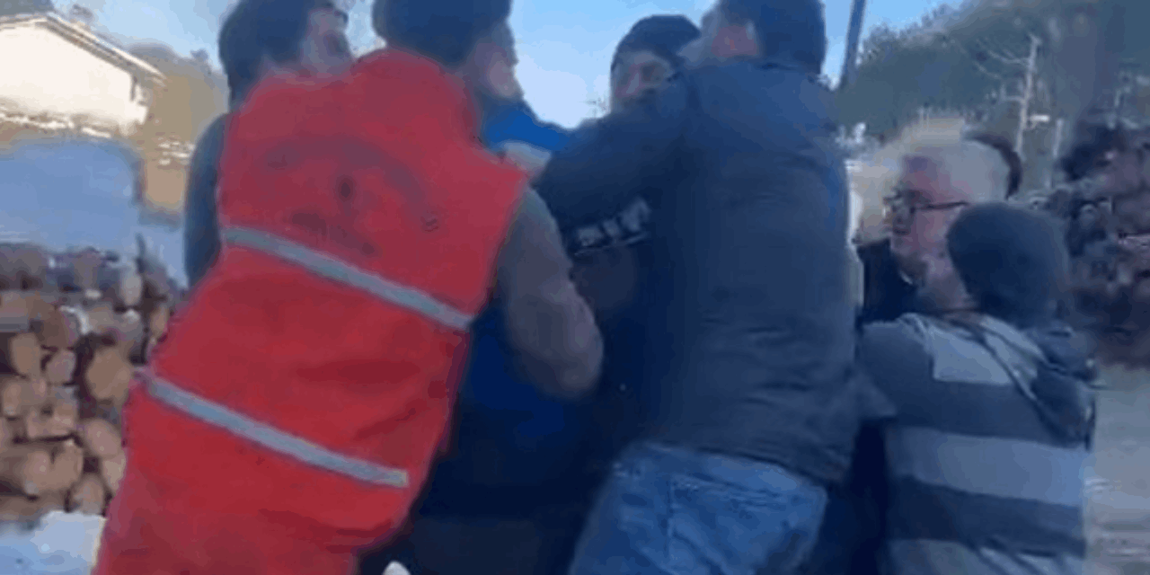 3 kardeş, kaçak ağaç kesimi yüzünden Orman Muhafaza Memurunu darp etti