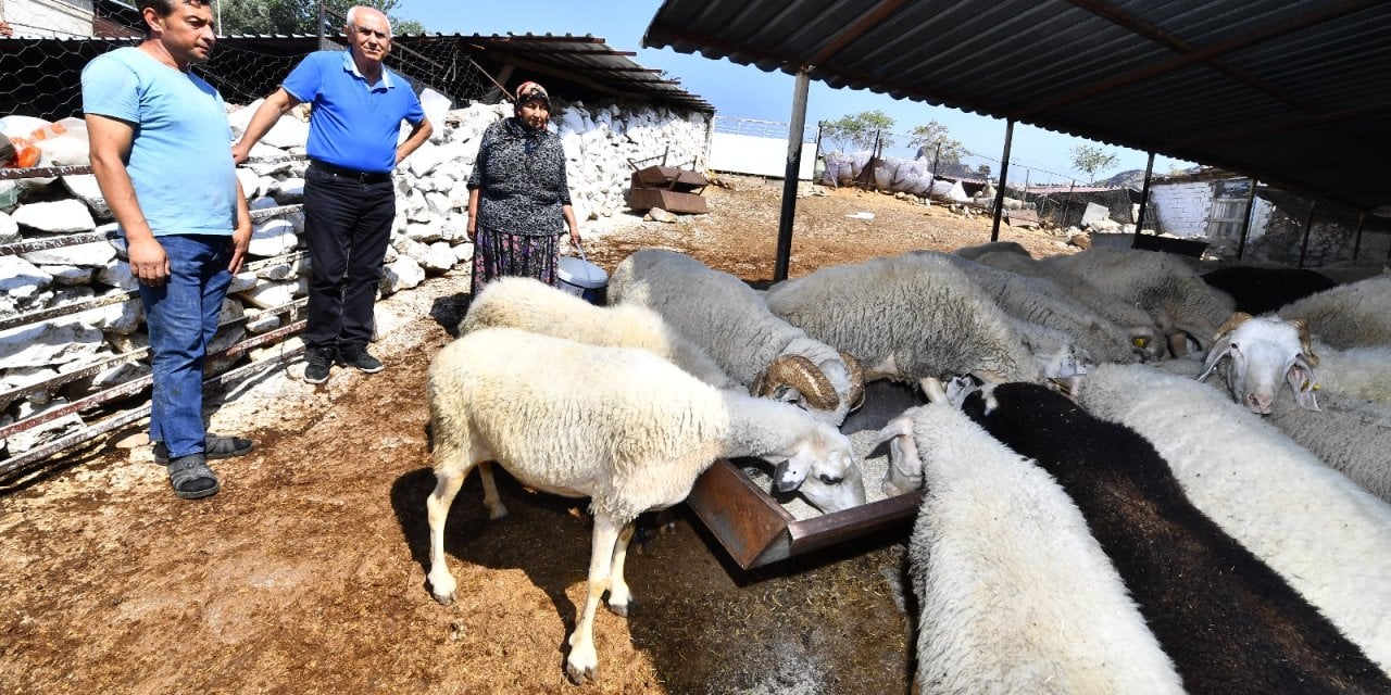 İzmirli üreticiye 270 milyon liralık destek