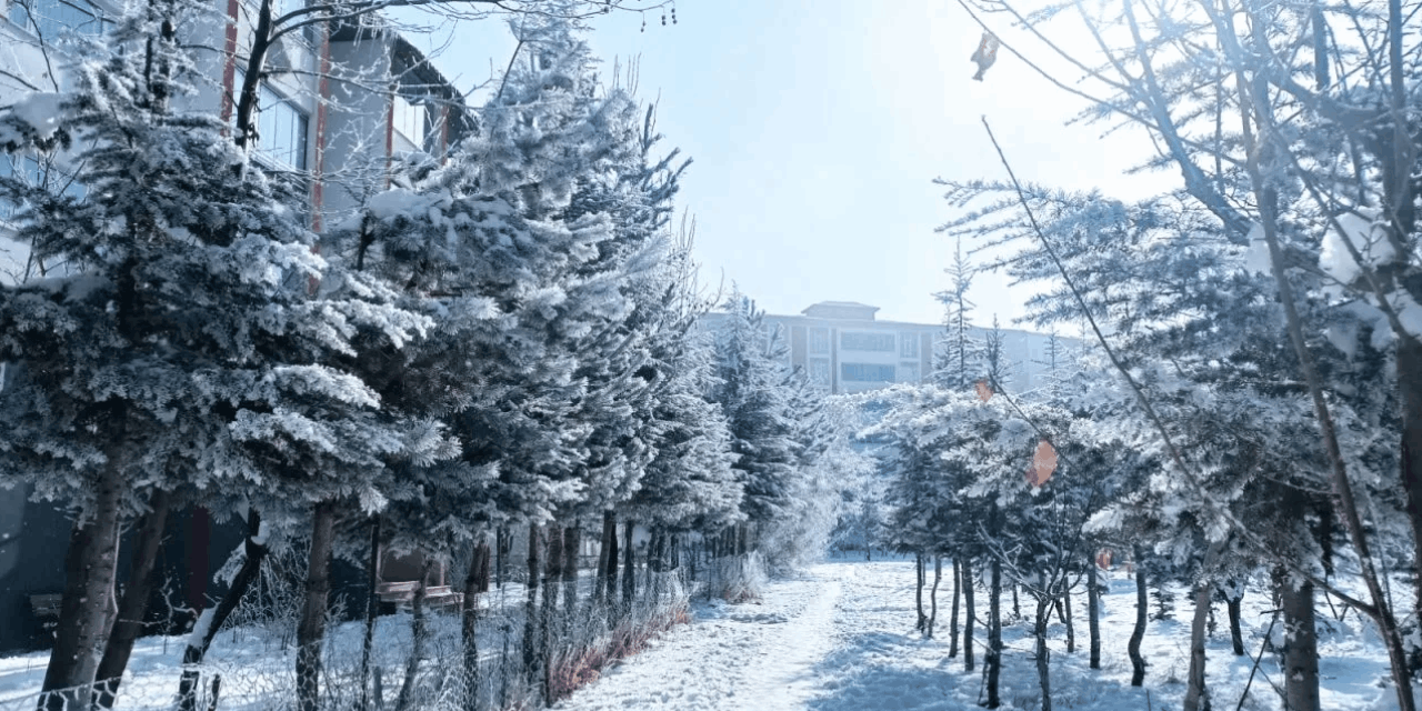 Bitlis’te dondurucu soğuk etkili oluyor: Hava sıcaklığı eksi 13,8 dereceyi gördü