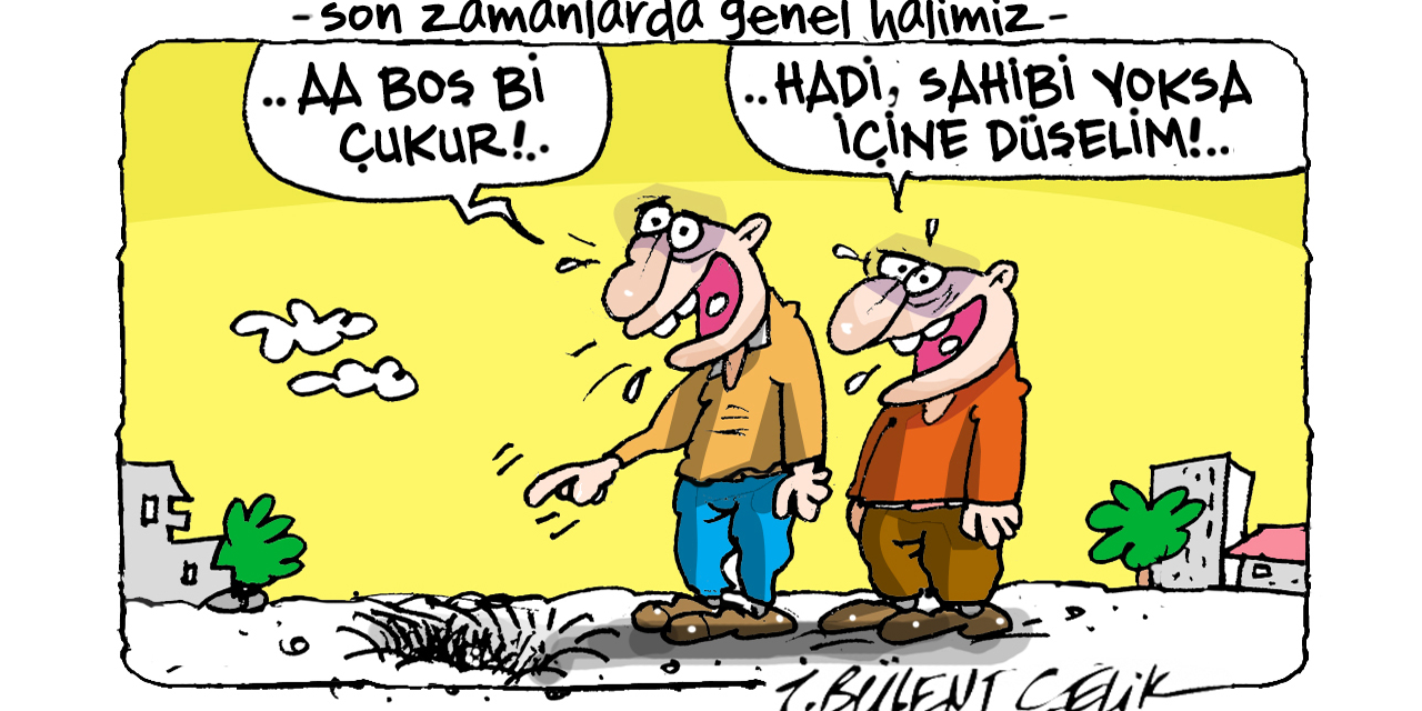 İ. Bülent Çelik'in 12 Aralık 2024 tarihli karikatürü