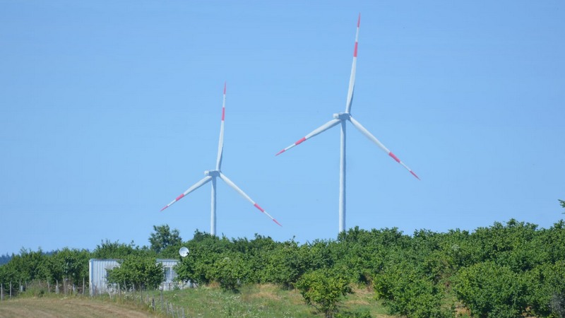 Kandıra'da ormanlık alan kurulacak RES türbinleri artıyor