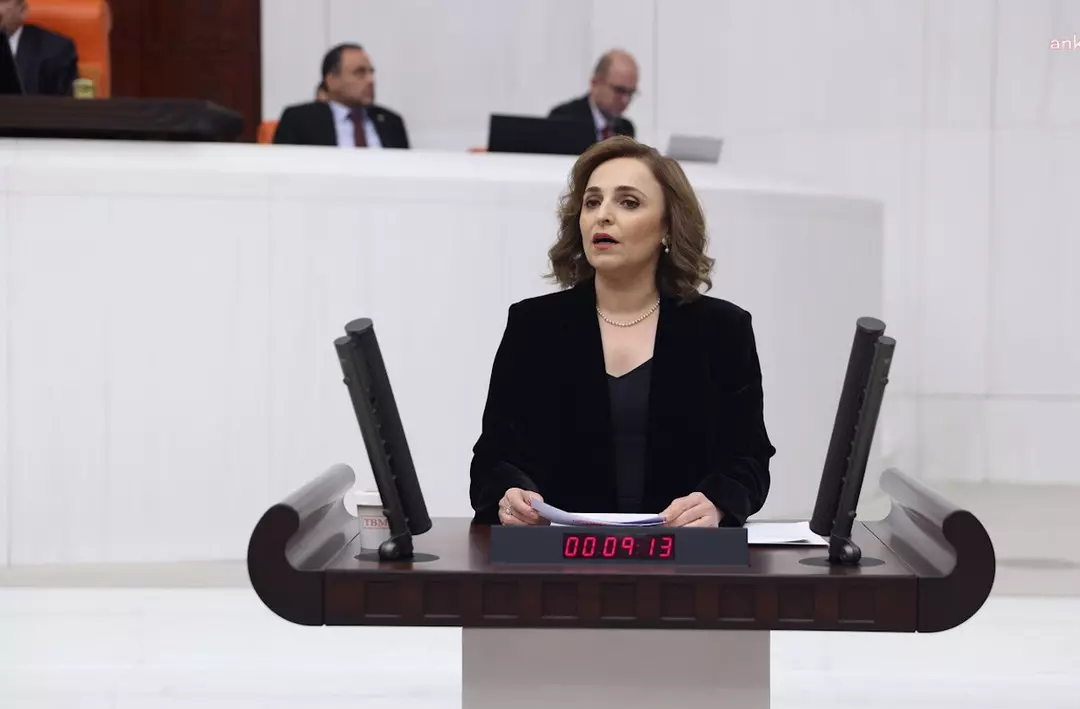 DEM'li Doğan sordu, MHP'li Adan onayladı: Meclis'te 'Kürtçe selamlama' izni