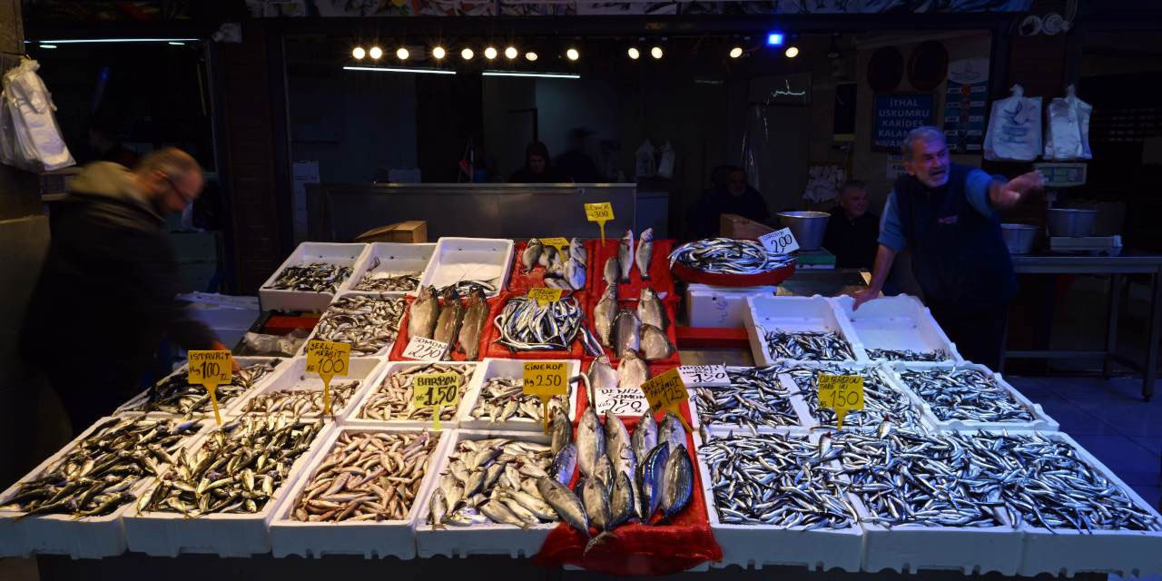 Hamsi İstanbul’da neden altın değerinde?