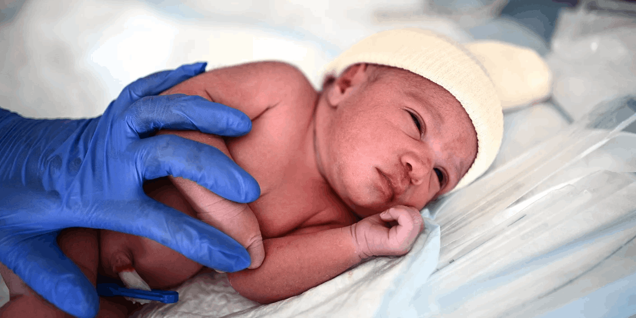 Türkiye'de doğurganlık oranı tarihsel düşüş yaşadı