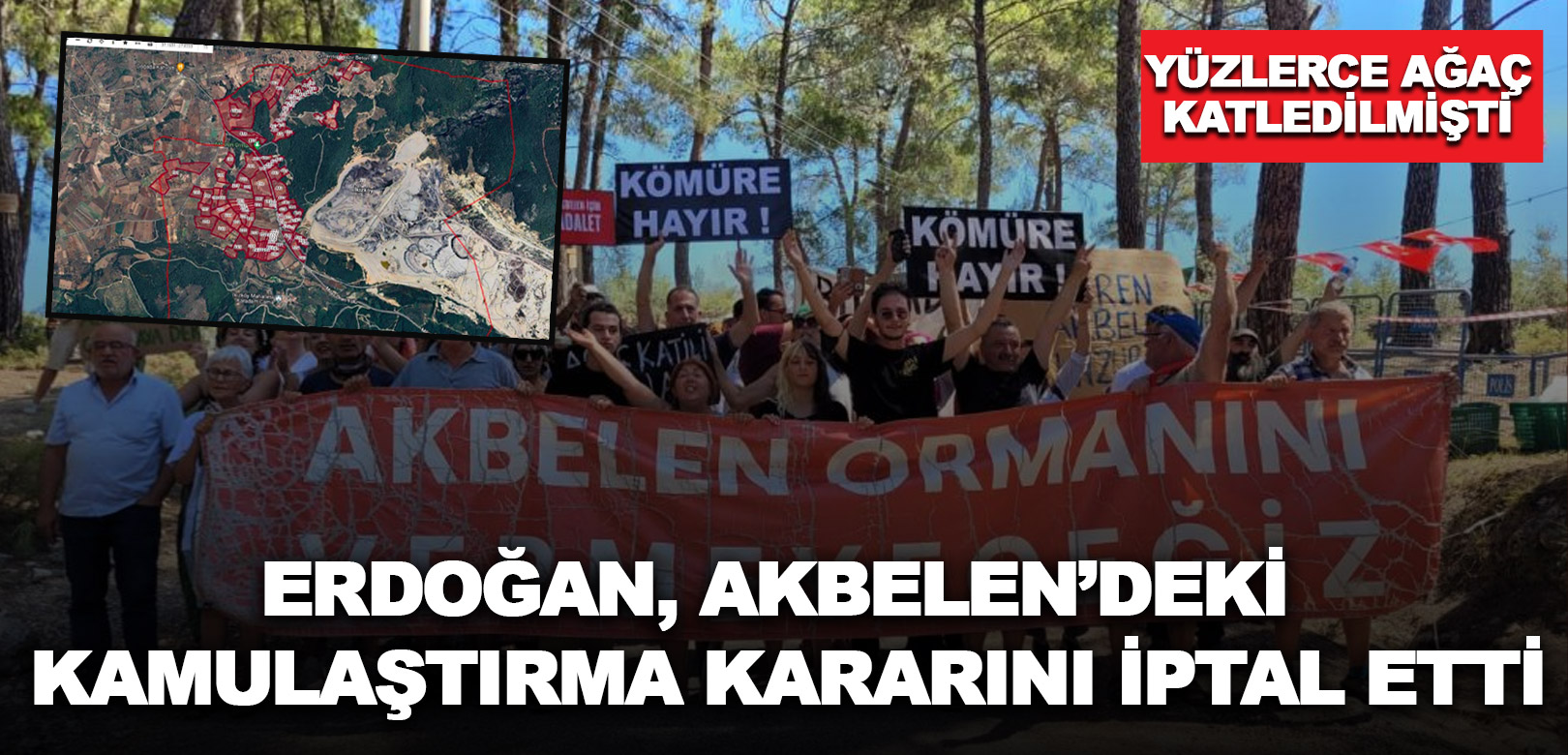 Erdoğan, Akbelen'de maden sahası kurulması için verilen kamulaştırma kararını iptal etti