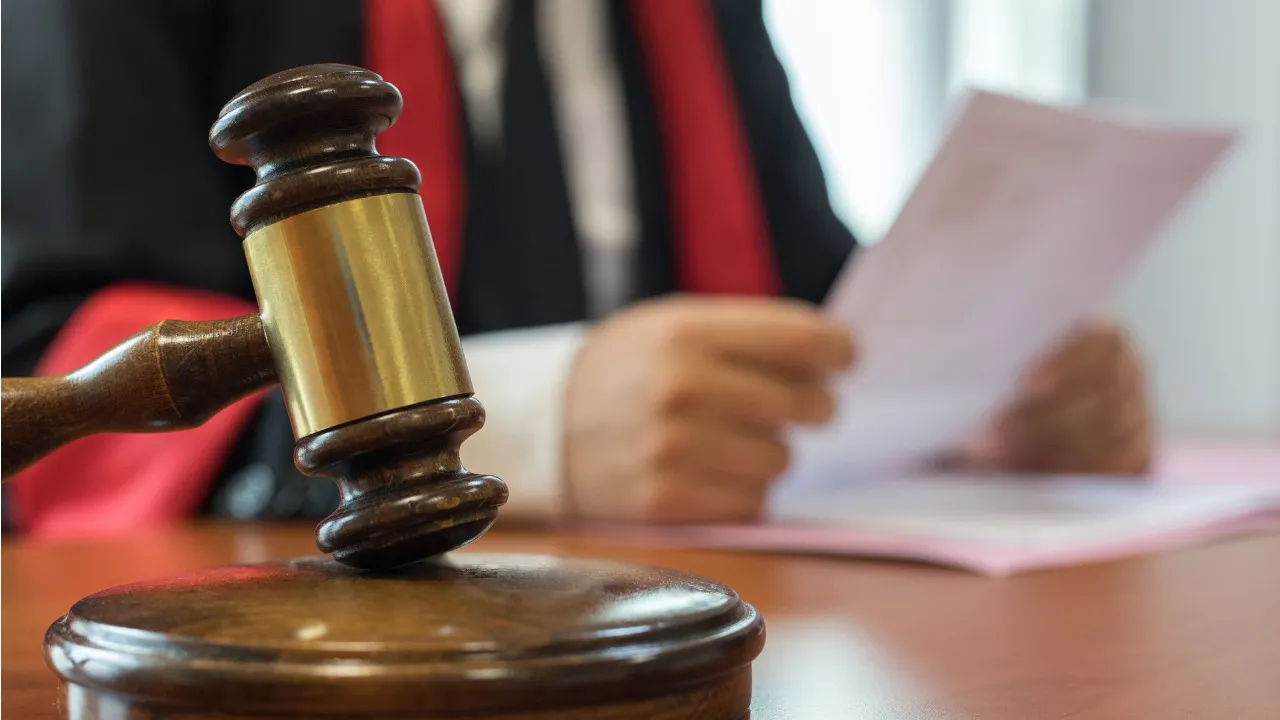 T24 sitesi ve gazeteci Seyhan Avşar hakkında soruşturma
