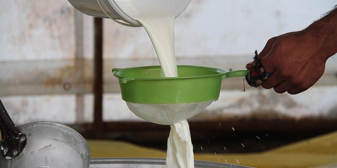 Süt üreticileri krizde: Artan maliyetler üretimi tehdit ediyor