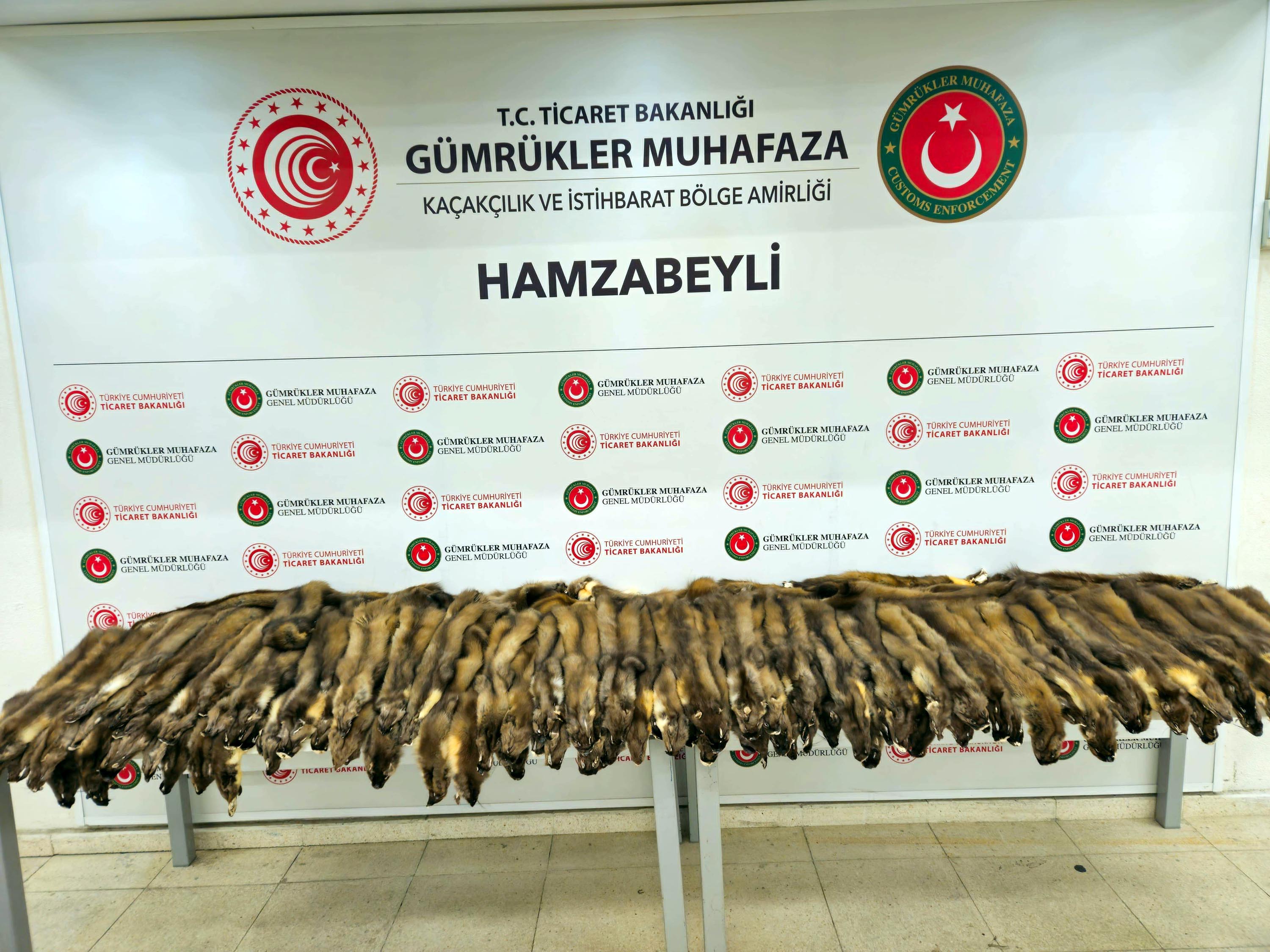 Sınırda operasyon: 155 samur postu ile 239 cep telefonu ele geçirildi