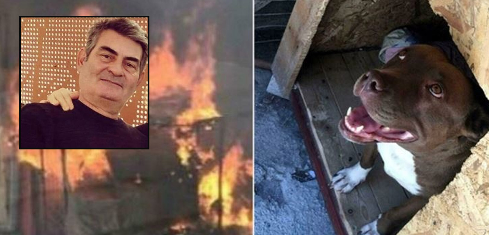 Şila'yı kulübesinde yakarak katletmişti: Ömer Faruk Baki'ye 4 yıl hapis cezası