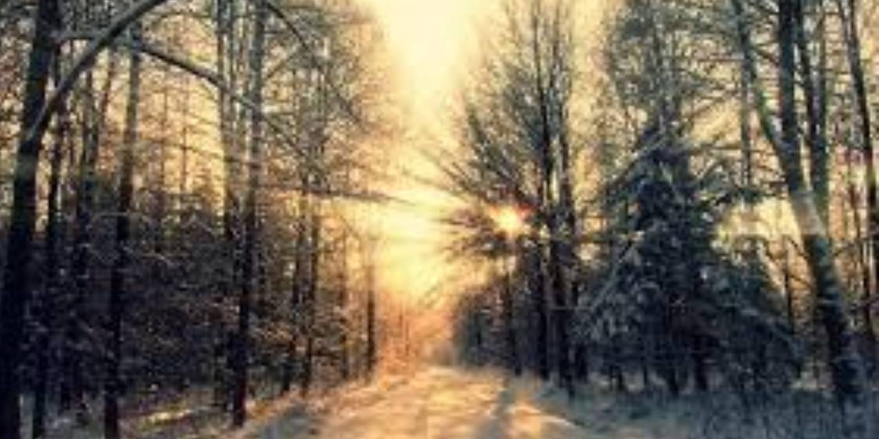 Meteoroloji'den yeni yılın ilk günü hava tahmini