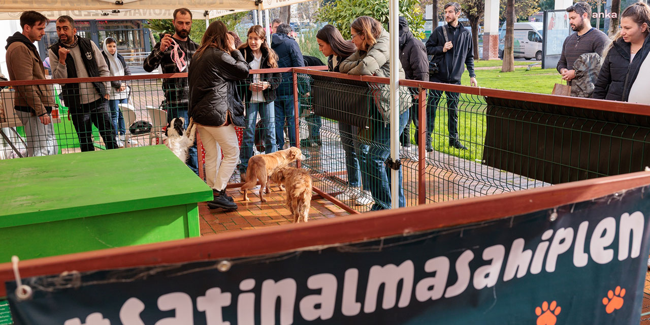 Konak Belediyesi 2024 yılında 7 bin hayvanı yuva sahibi yaptı