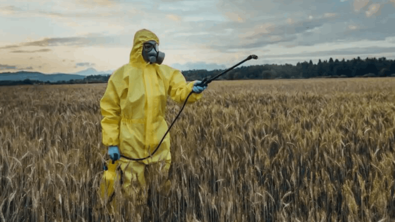 Türkiye’den ihraç edilen gıdalarda alarm: 2025’in ilk 3 gününde 4 ürün geri çevrildi