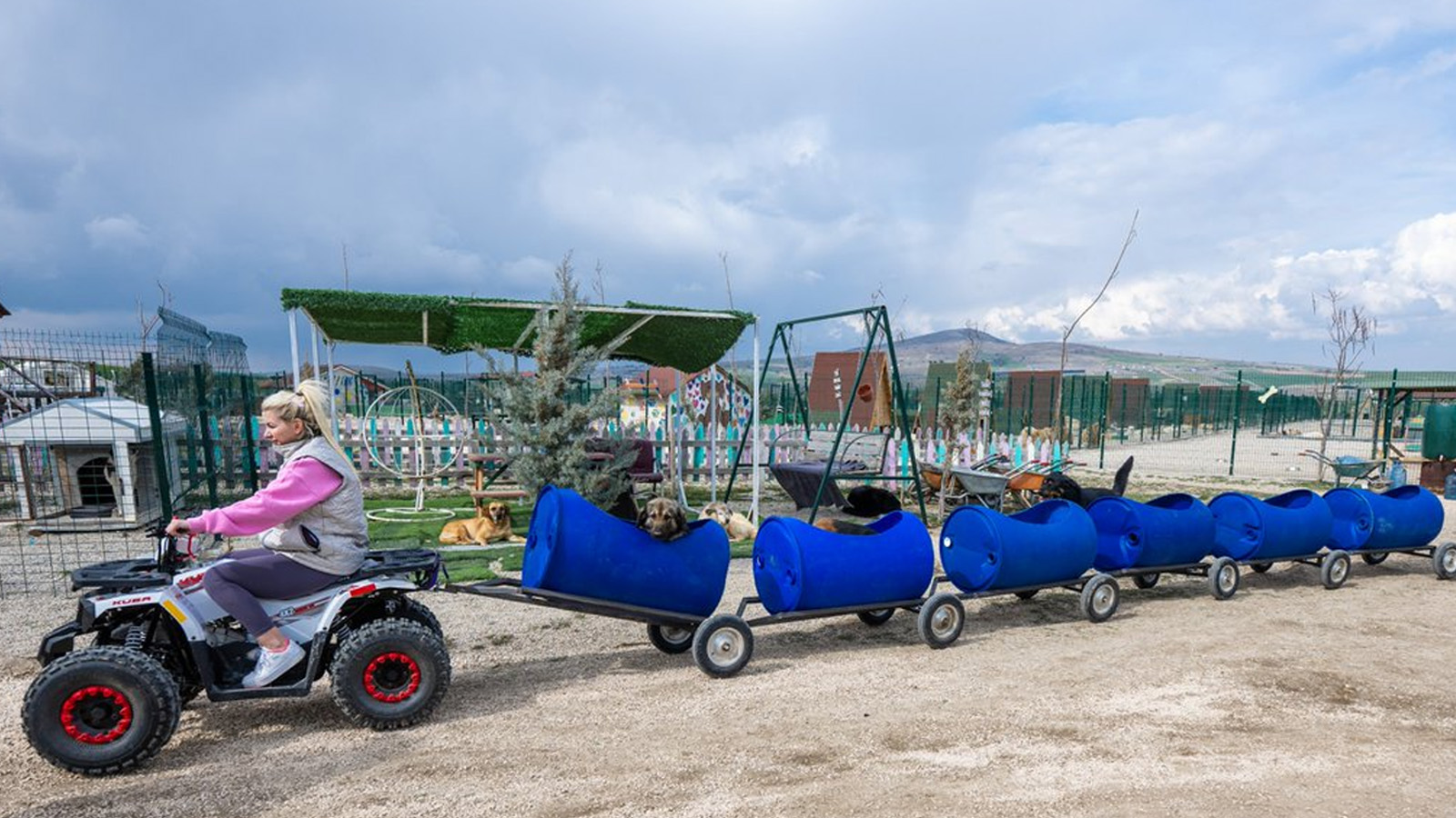 Felçli köpekler için varilleri kullanarak tren yaptı: O anlar gündem oldu