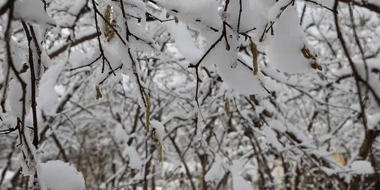 Kuvvetli yağış ve kar geliyor: Meteoroloji’den kritik uyarılar