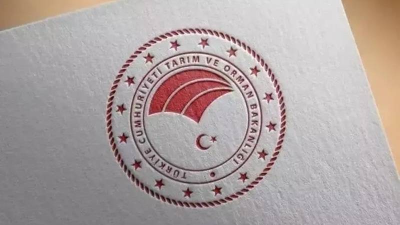 Tütün mamülleri için yeni düzenlemeler geliyor