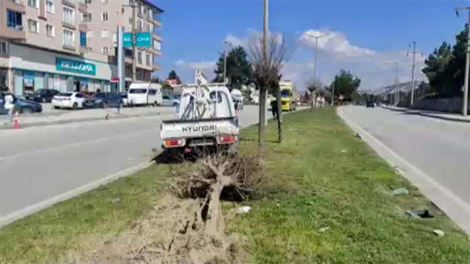 Burdur'da lastiği patlayan kamyonet refüje çıkıp ağacı devirdi