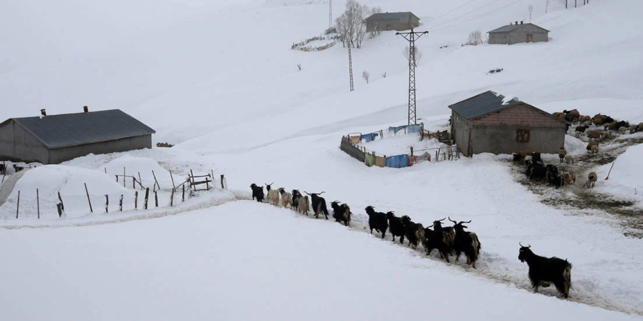 Kar esareti: Muş’ta 15 köy yolu kapandı, hayat durma noktasında