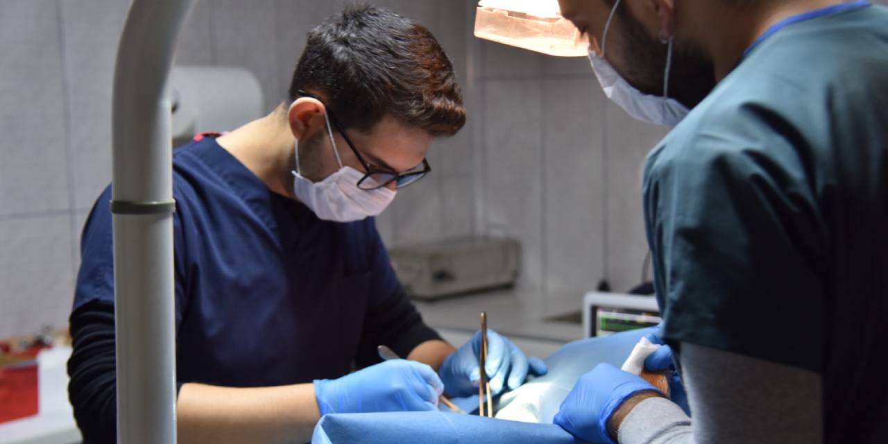 Bilecik Belediyesi'nden sokak hayvanlarına şifa eli