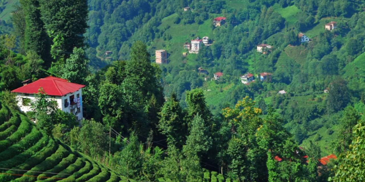 Prof. Dr. Bektaş'tan Karadeniz uyarısı: Trabzon ve Rize’deki çok katlı binalar heyelan ve deprem riski ile karşı karşıya