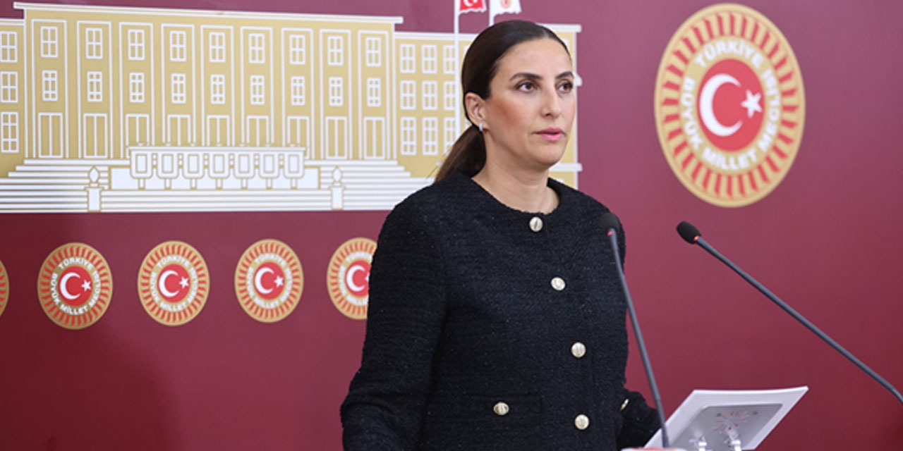 DEVA Partili Rızvanoğlu, Cebeci Köyü’ndeki taş ocaklarının yarattığı çevre felaketini meclis gündemine taşıdı