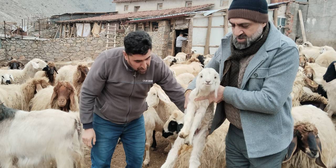 Depremde yıkılan ahırlar hâlâ yapılmadı: Teşvikler hızlansın