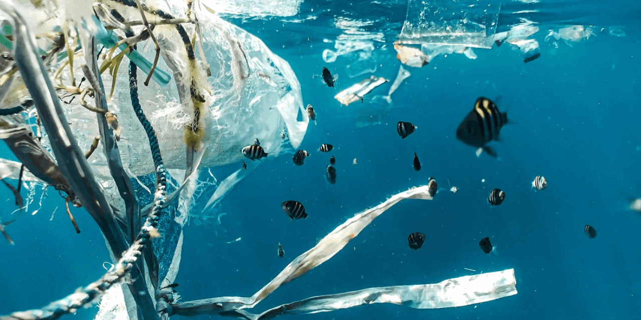 Denizler plastik çöplüğüne döndü: Mikroplastikler soframıza kadar ulaşıyor!