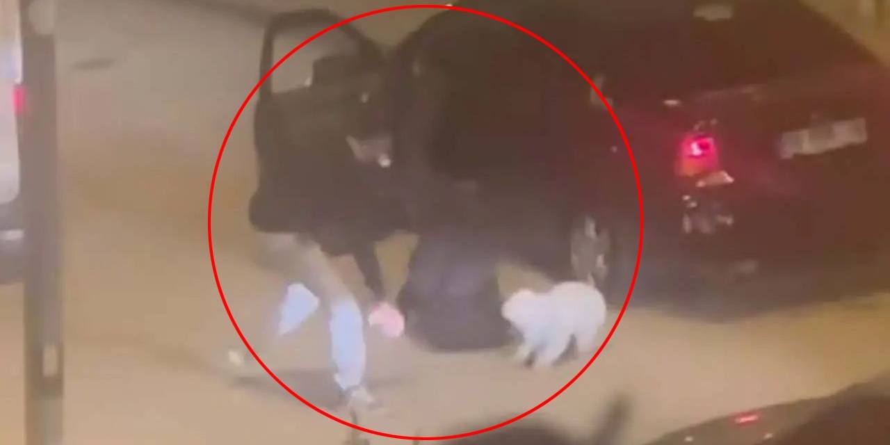 Polatlı’da bir kadına ve köpeğine saldıran şüpheli erkek gözaltında