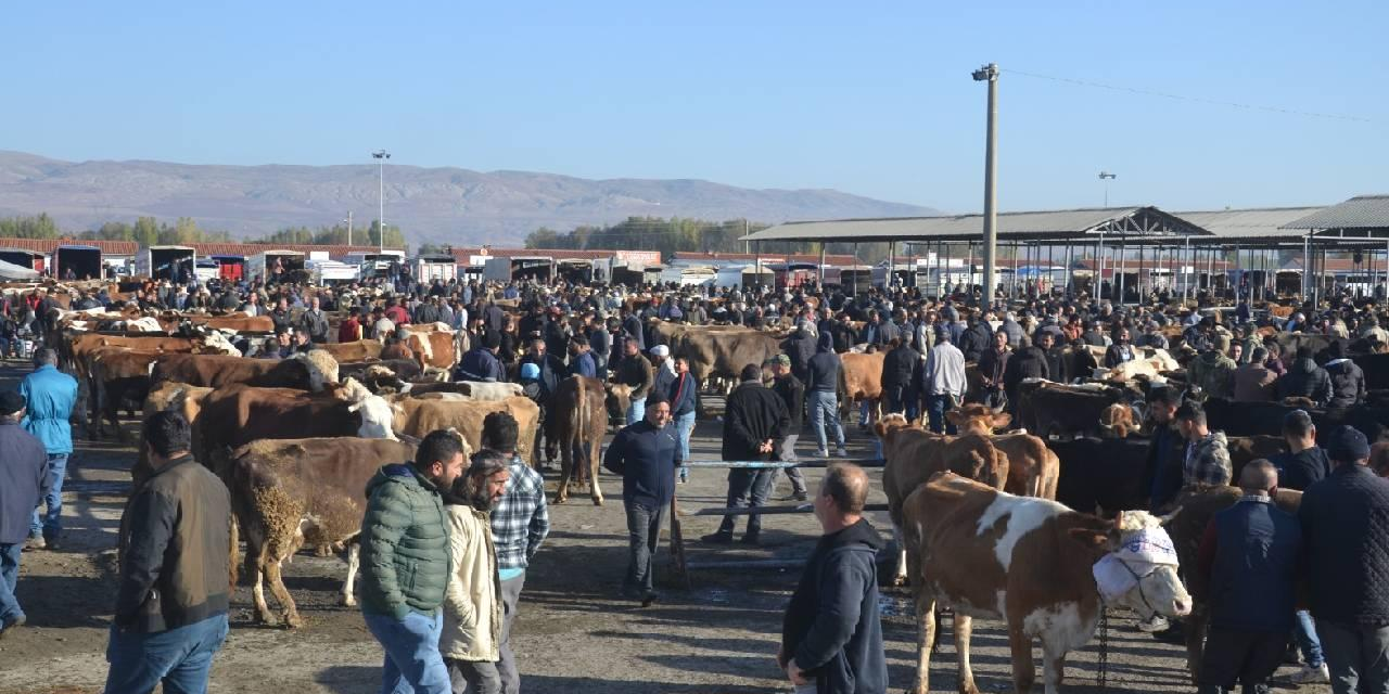 Sivas'ta 'şap' endişesi: Türkiye'nin en büyük hayvan pazarı kapatıldı