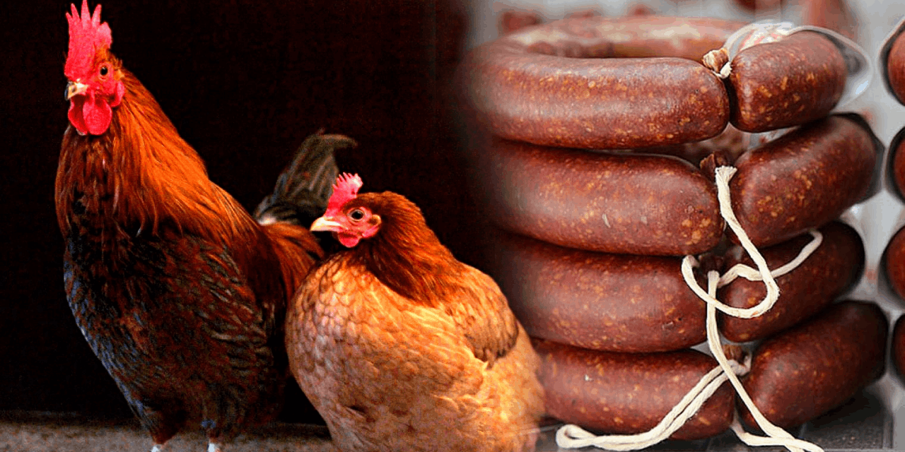 Tarım Bakanlığı'ndan yeni ifşa listesi: Baklavada fıstık yerine ay çekirdeği, sucukta tavuk kafası!