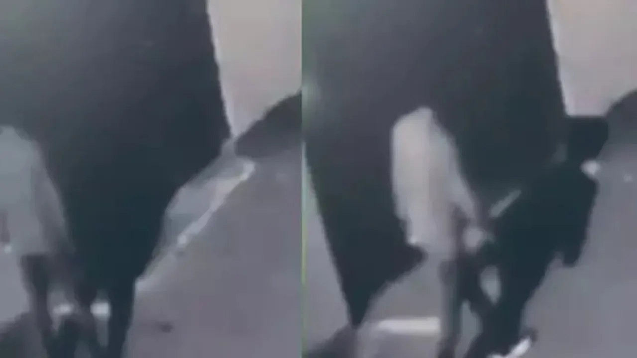 Türk bayrağını yakan kişi hakkında 1 yıldan 3 yıla kadar hapis talebi