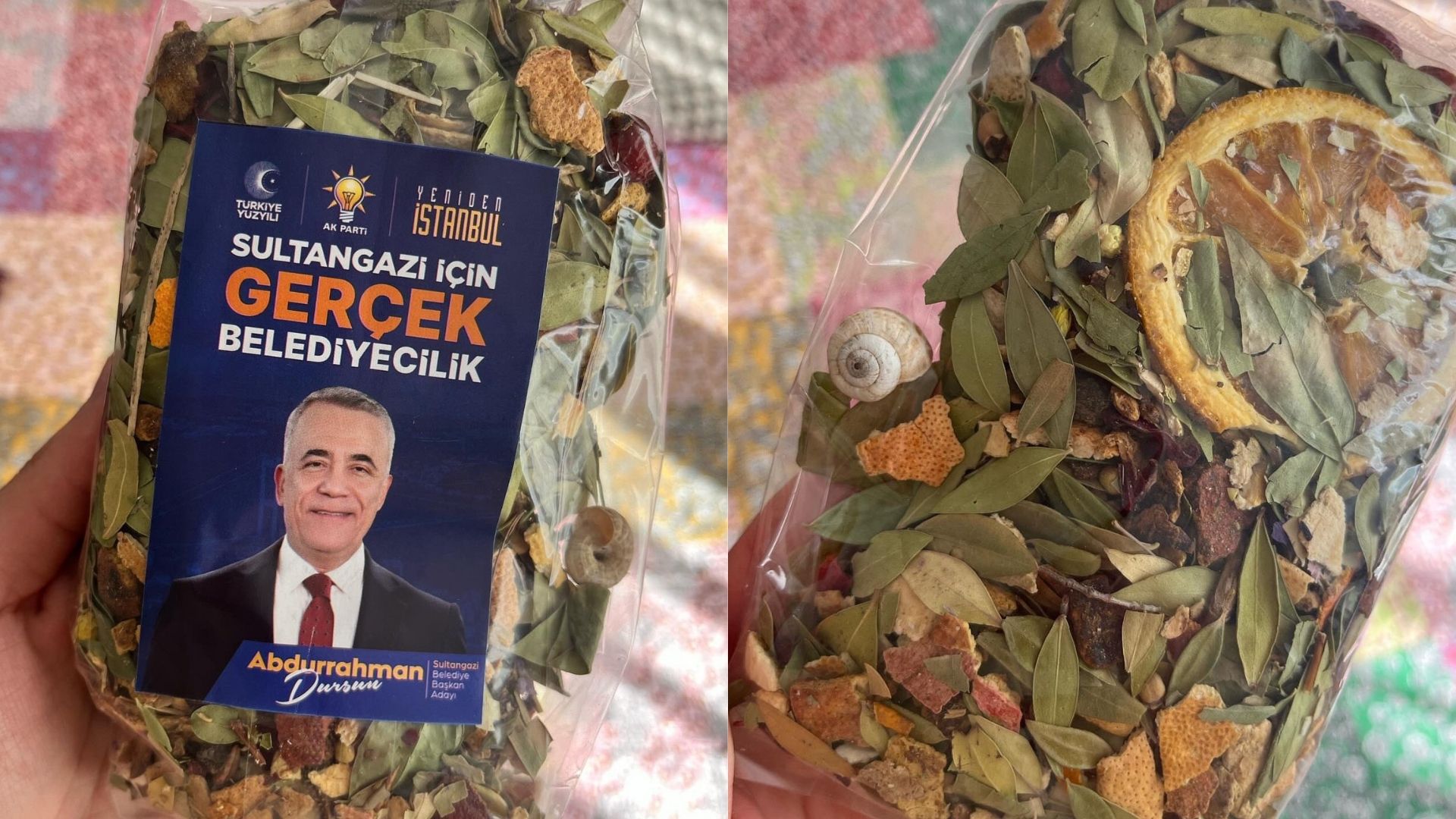 AKP’li belediye başkan adayının dağıttığı bitki çayından salyangoz çıktı