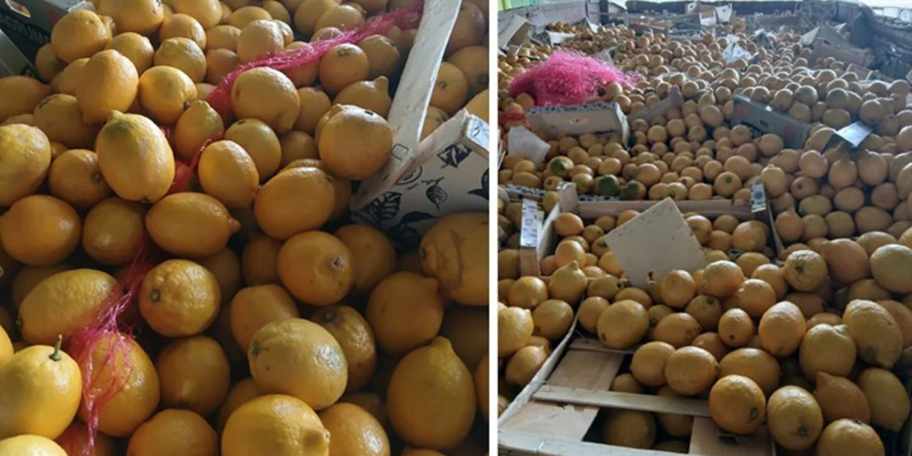 Türkiye’de yasaklı pestisit çıktı: Hatay’da tonlarca limon çöpe gitti