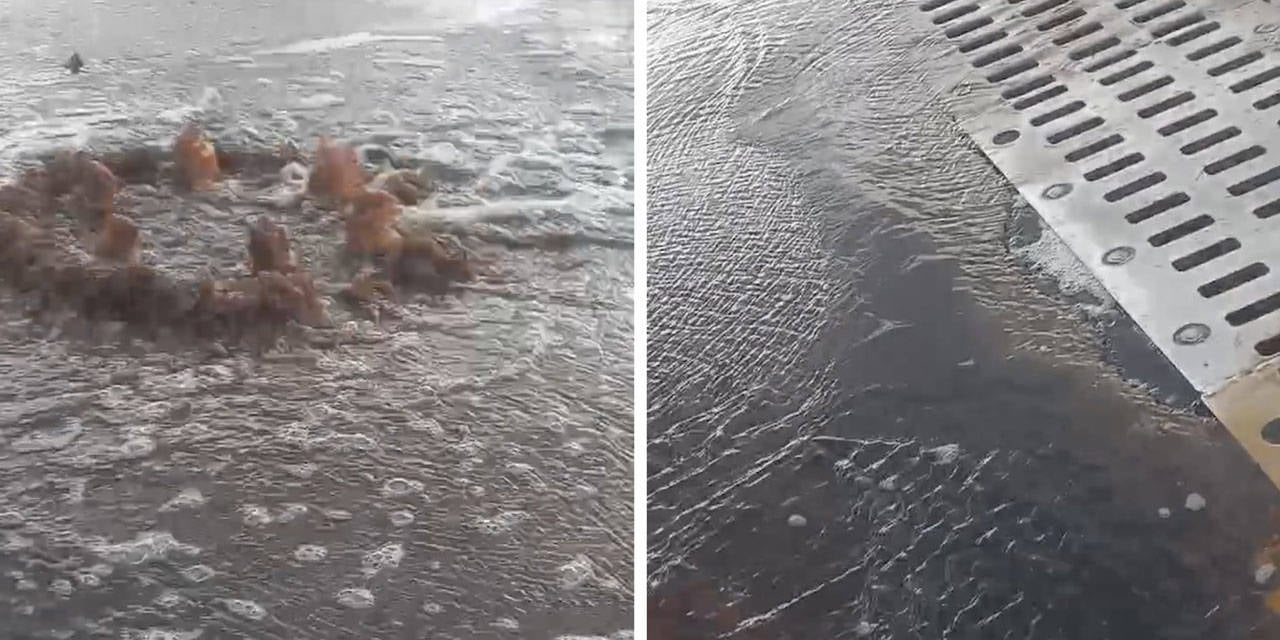 İzmir Büyükşehir Belediyesi’ne çevre cezası: 1,6 milyon TL para cezası kesildi