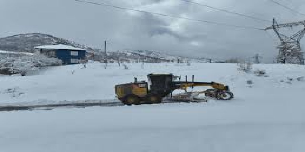 Bitlis'te kar esaretinde olan 219 köy yolundan 170'i açıldı