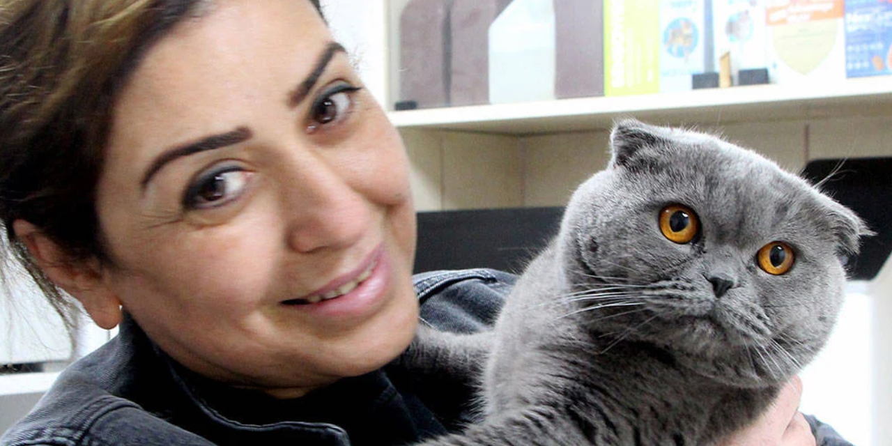 Adana’da 6 milyonda 1 görülen vaka: Çift cinsiyetli kedi ameliyatla sağlığına kavuştu