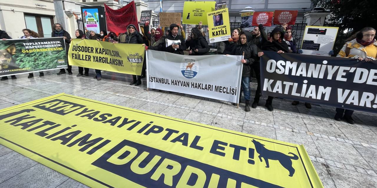 Necla Teyze’nin ölümüne tepki: 'Şüpheli ölüm örtülmemeli'