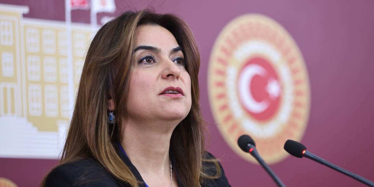 DEM Parti Grup Başkanvekili Koçyiğit: 'İmralı Heyeti birkaç gün içinde Öcalan'la görüşecek'