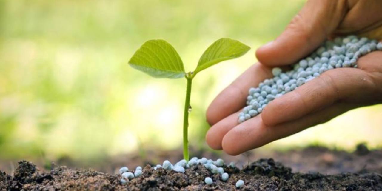 Gübre denetimlerinde 41 firmaya ceza kesildi: 65 üründe etiket uyumsuzluğu