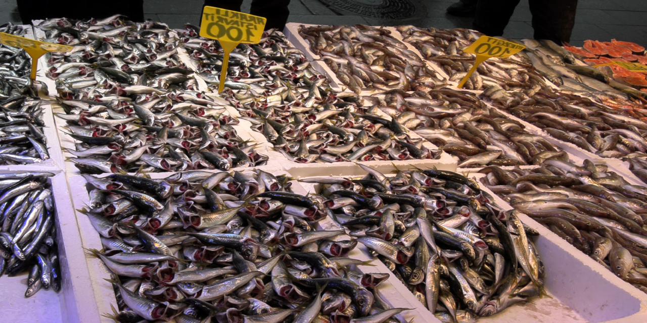 Ramazan’da balık tezgahları dolup taştı ama ilk gün ilgi düşüktü