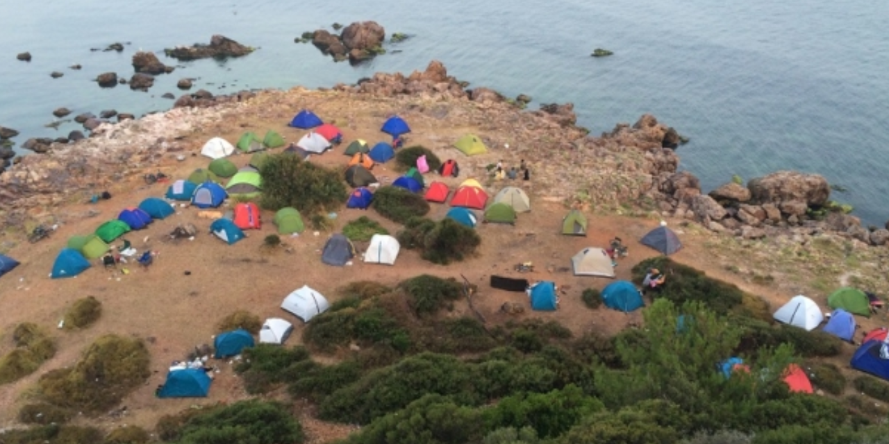 Direniş sonuç getirdi: Martha Koyu betondan kurtuldu!