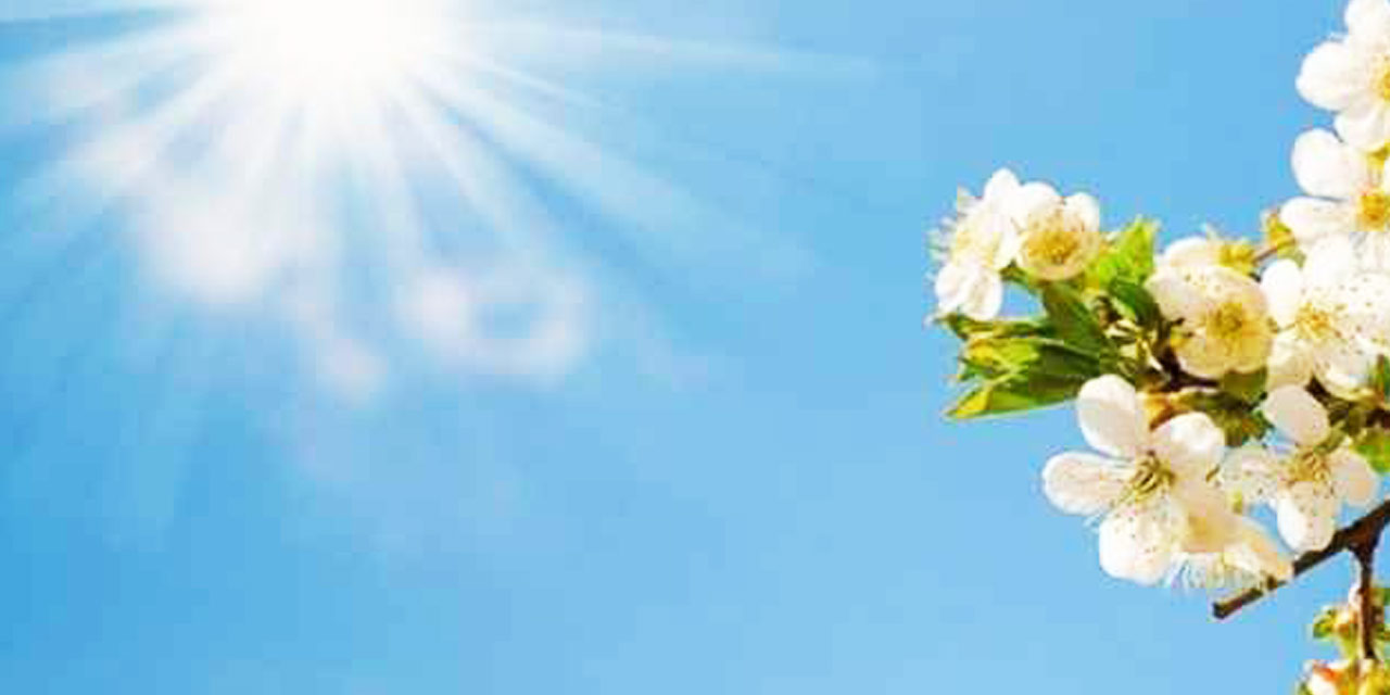 Meteoroloji’den Pazar raporu: Mevsim normallerinin üzerinde sıcaklık