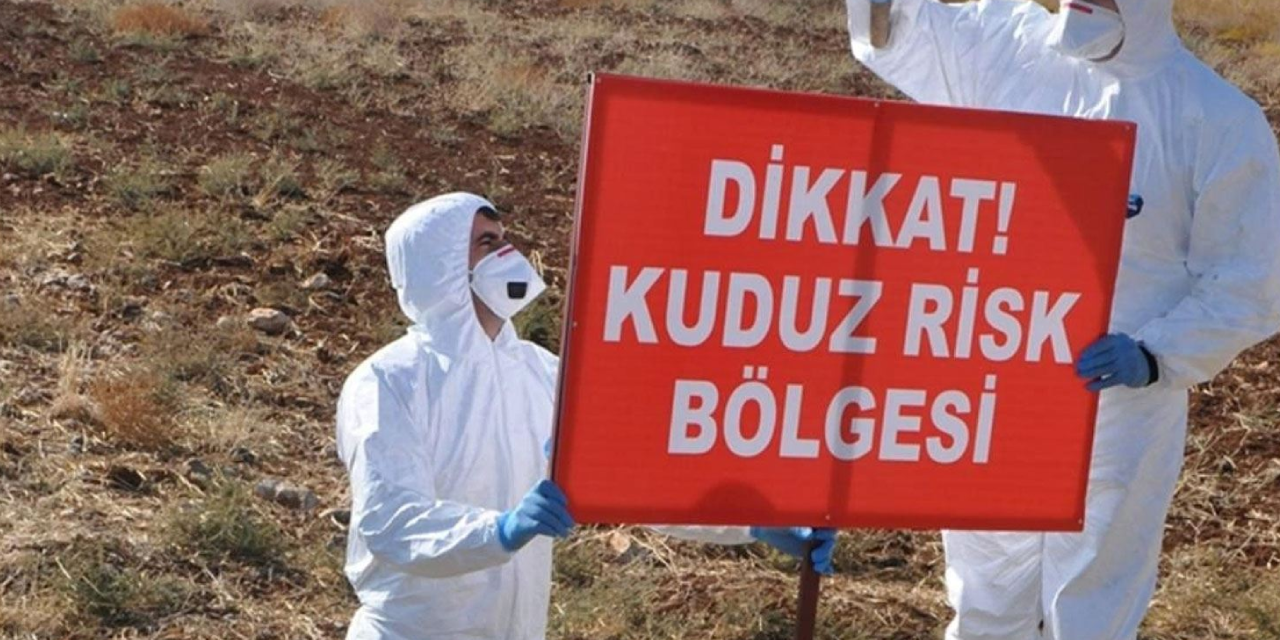 Kuduz vaka tespiti üzerine Adıyaman 6 ay boyunca karantinaya girdi