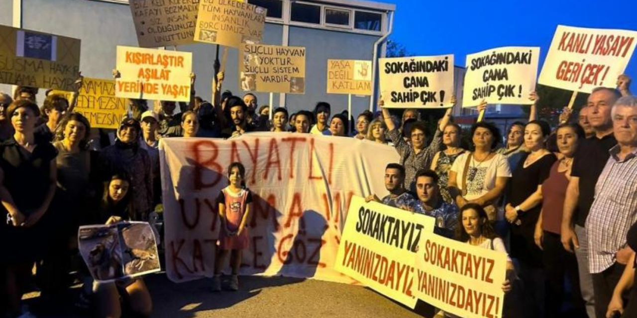 Sancaktepe’de ölü köpek skandalı: Üç belediye çalışanı açığa alındı